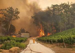 Adelaide-Hills-Bushfire-Wineries-Every-Bottle-Counts-Hurley-Hotel-Group